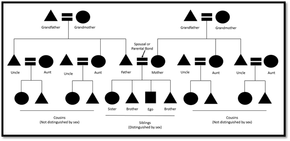 A diagram of black shapes connected by lines on a white background as a visual representation of genealogical kinship. Read below for an explanation of the symbols used in these kinds of diagrams.